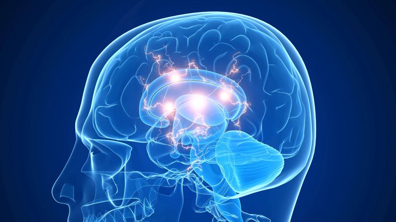 上海软件开发：引领数字化转型的强大力量